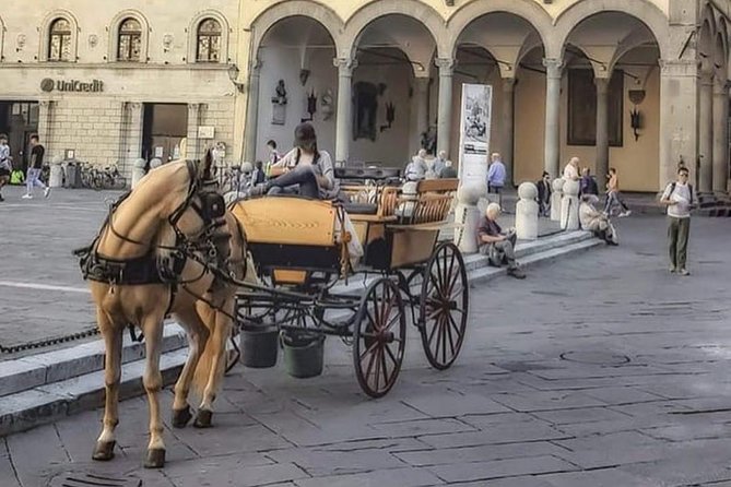 One-Hour Tour Through the Historic Center and Half Renaissance Walls - Accessibility Information