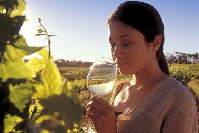 One Hump Camel Farm and Wine Tour - FAQ