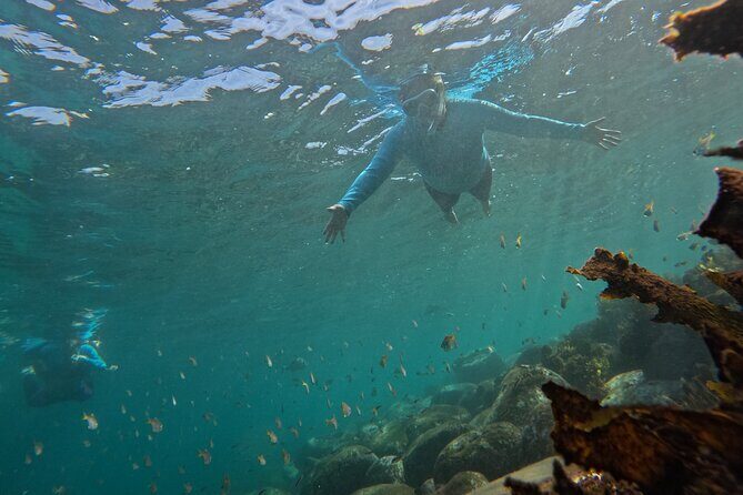 One on One Snorkel Experience - Key Points