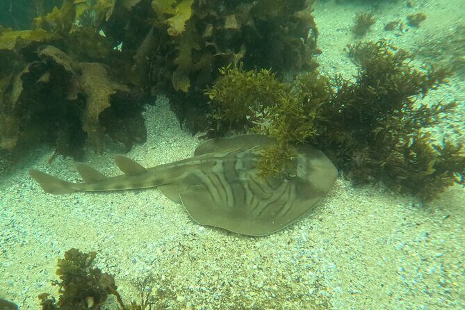 One on One Snorkel Experience - The Fine Details That Matter