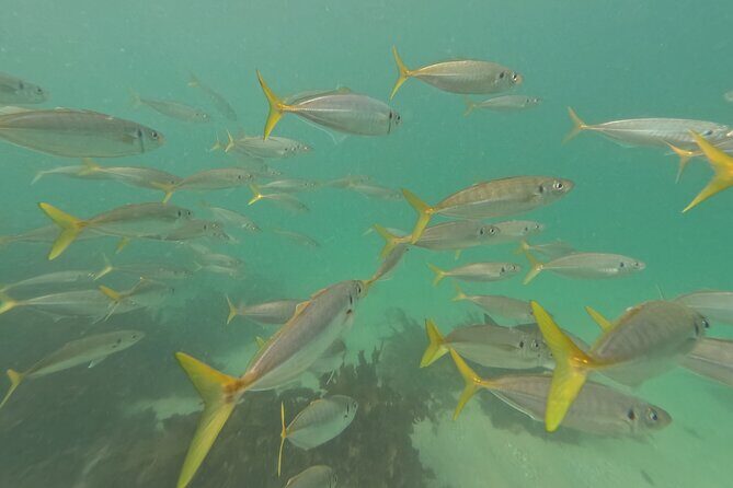 One on One Snorkel Experience - Final Thoughts