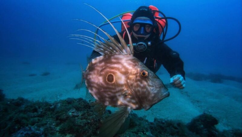 One Scuba Diving Day Trip to Costa Brava - Itinerary
