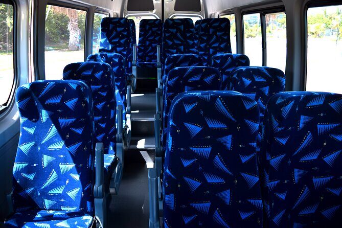 One-Way Los Cabos Private Airport Transfer - Sprinter up to 13 Passengers - What to Expect from this Private Airport Transfer