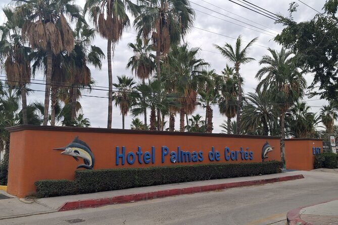 One Way Private Transfer Los Cabos Airport to Barrels BCS - Authentic Feedback from Travelers