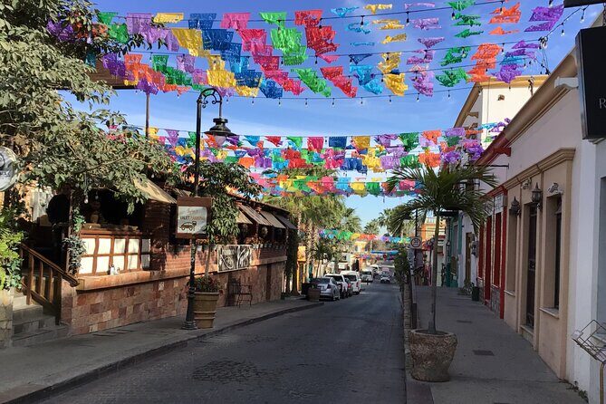 One Way Private Transfer Los Cabos Airport to San Jose Cabo - How It Compares to Other Experiences