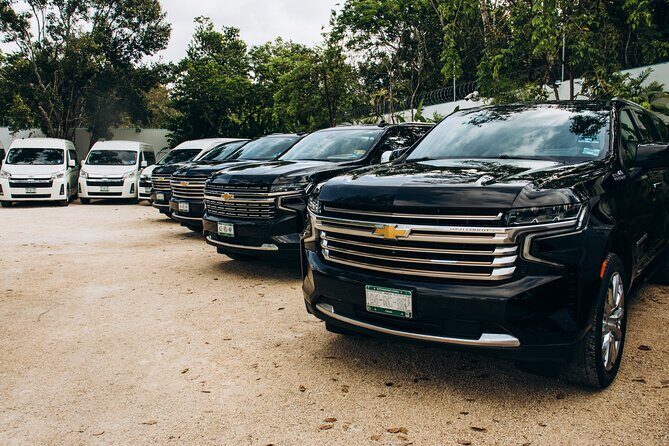 One Way Private Transfer Playa del Carmen - Cancun Int Airport - A Practical Review of the Playa del Carmen to Cancun International Airport Private Transfer