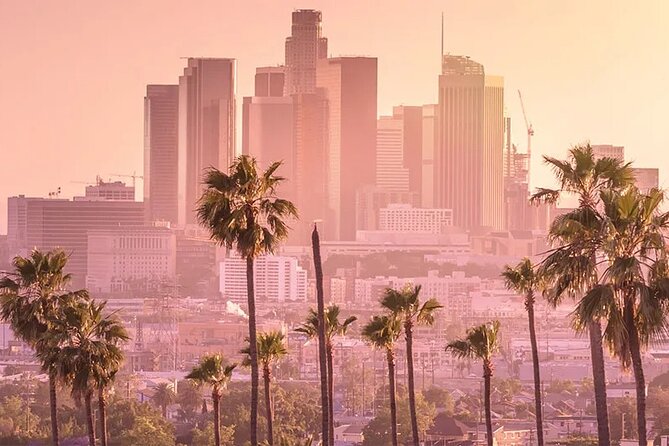 One-Way Private Transfers From/To Los Angeles Airport - Inclusions