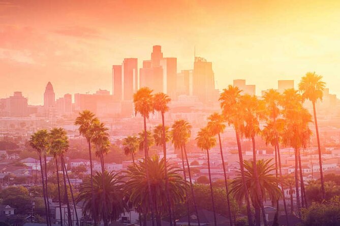 One-Way Private Transfers From/To Los Angeles Airport - Pickup and Drop-off Information