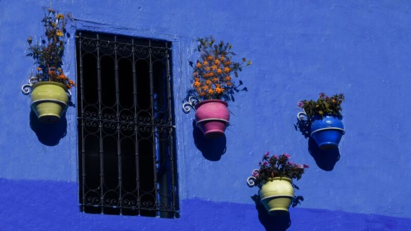 One-Way Transfer From Chefchaouen to Fes - Arrival Time
