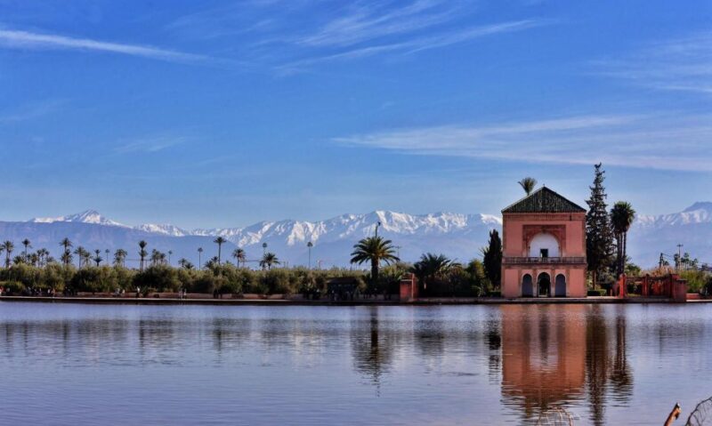 One Way Transfer From Fes to Marrakech - Customer Feedback