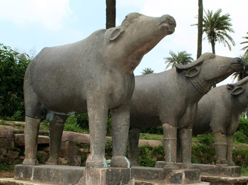 One Way Transfer Service From Udaipur To Ranthmbore - Drop-off Options
