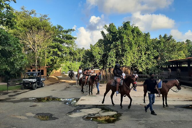 Oneway Transfer- San Juan From/To Rio Grande or Loiza - Customer Testimonials