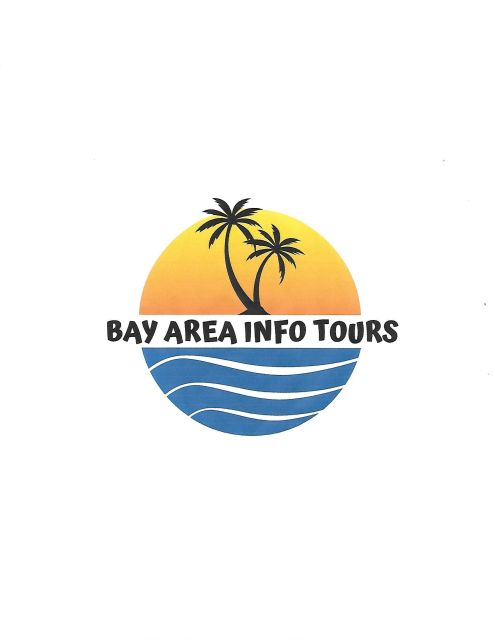 ONLY Minivan Tour in Tampa Bay Area You Will Never Forget! - Experience Downtown St. Petersburg