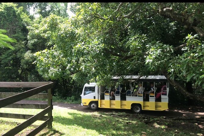 Open Air Reggae Tour - Tour Inclusions and Accessibility