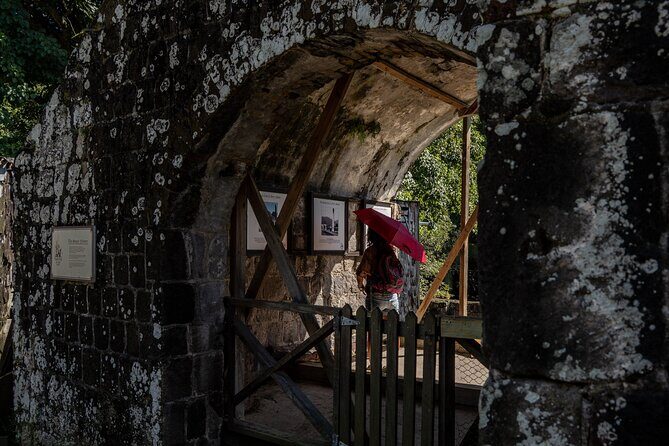 Open Air St. Kitts Tour with Island Vibes - An In-Depth Look at the Tour Experience