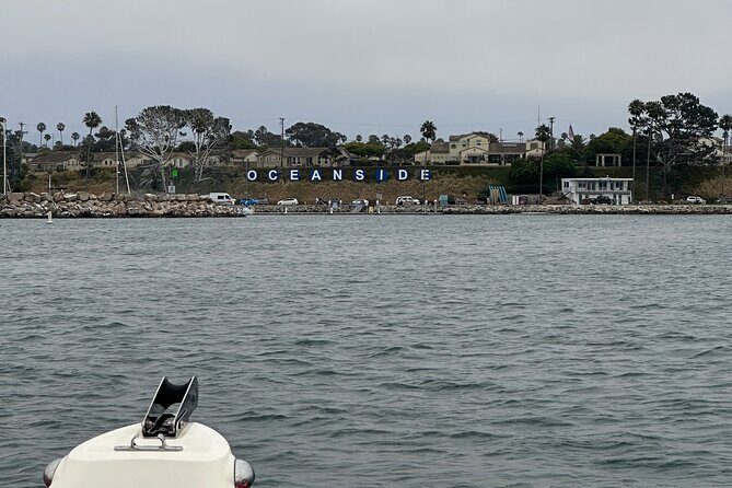 Open Boat Whale Watching - FAQ