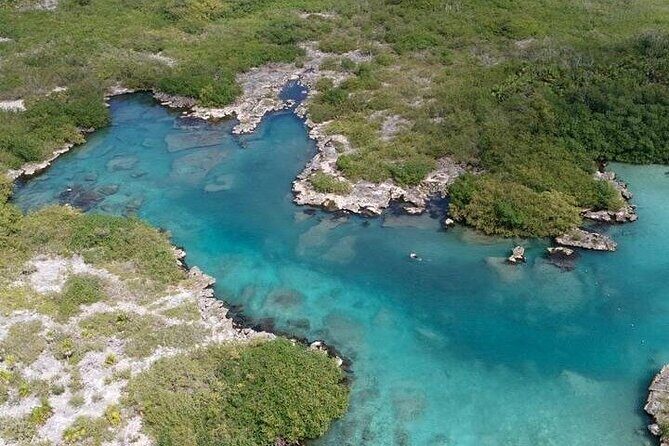 Open Cenote and Yalku Lagoon Snorkeling - Exploring the Itinerary: What to Expect