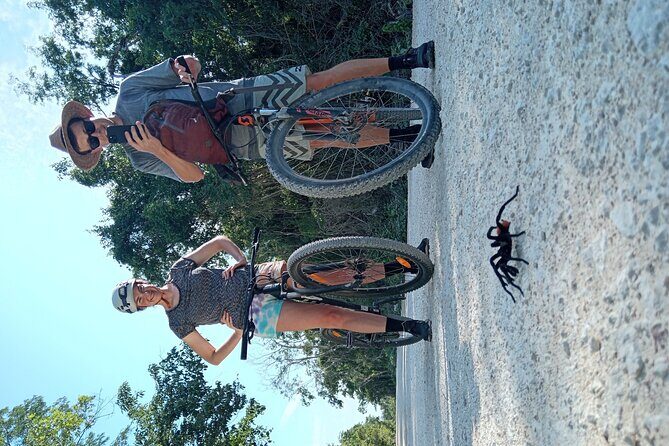 Open Cenote Bike and Swim Tour in the Jungle - The Experience in Detail