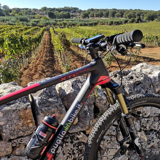 Open guided bike tour in Locorotondo and Alberobello - Exploring Apulia on Two Wheels: A Guided Bike Tour of Locorotondo and Alberobello