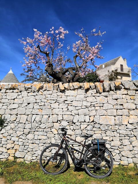 Open guided bike tour in Locorotondo and Alberobello - The Sum Up