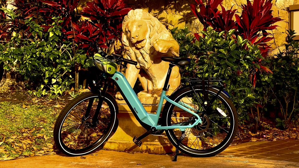 Open House Real Estate Bike Tour - Highlights of the Experience