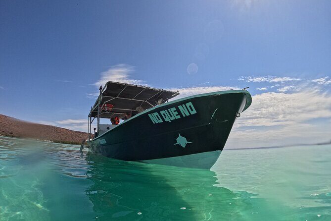 Open Ocean Safari: looking for orcas, dolphins & more - The Value Proposition: Is This Tour Worth It?