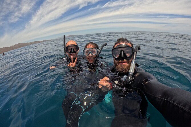 Open Ocean Safari: looking for orcas, dolphins & more - The Sum Up: Who’s the Perfect Fit?