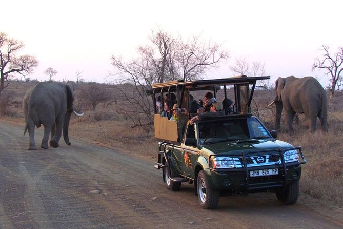 Open Vehical Safari in Kruger National Park Half Day - Tour Logistics and Details