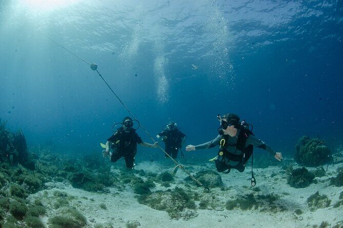 Open Water course Isla Mujeres - Why Choose This Course in Isla Mujeres?