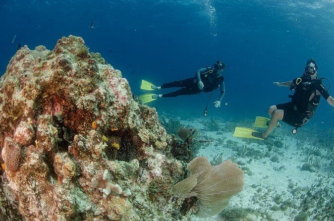 Open Water course Isla Mujeres - The Sum Up: Is It Worth It?