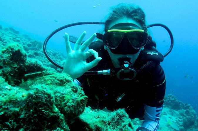 Open Water Diver Course at Blue Bay Dive in Curacao - The Sum Up: Who Should Consider This Course?