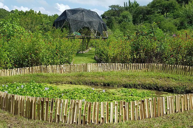 Openwork butterfly garden - Key Points