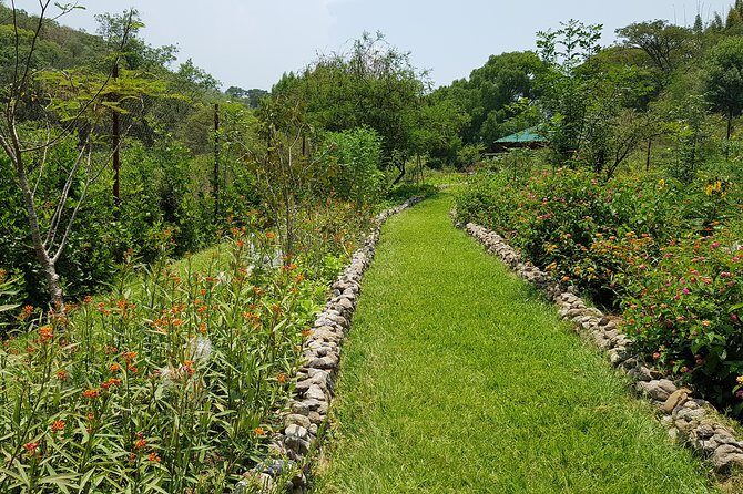 Openwork butterfly garden - The Experience’s Limitations