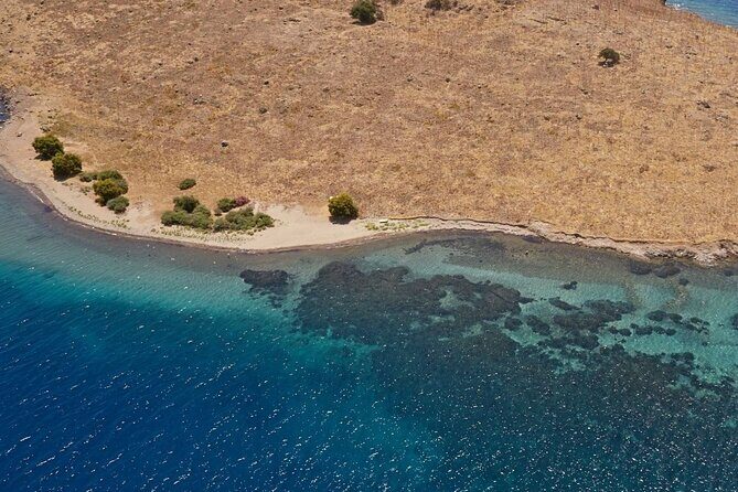 Orak island Boat Tour - Who Should Consider This Tour?