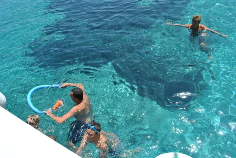 Orak island Boat Trip Bodrum - The Sum Up