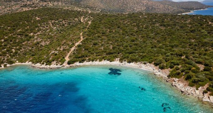 Orak Island Boat Trip Bodrum - Additional Activities