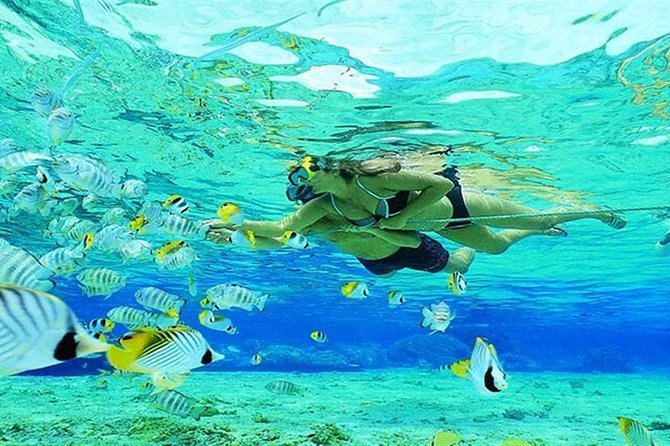 Orange Bay Hurghada - Snorkeling Highlights