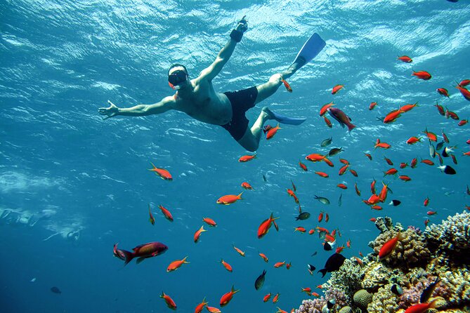 Orange Bay Snorkeling Trip With Lunch & Transfer From Hurghada - Reviews and Ratings
