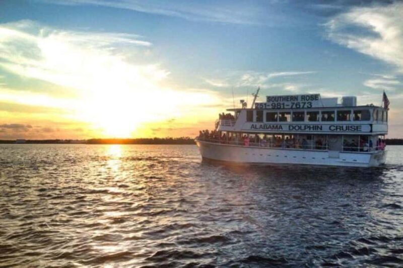 Orange Beach: Dolphin Cruise - What to Expect from the Orange Beach Dolphin Cruise