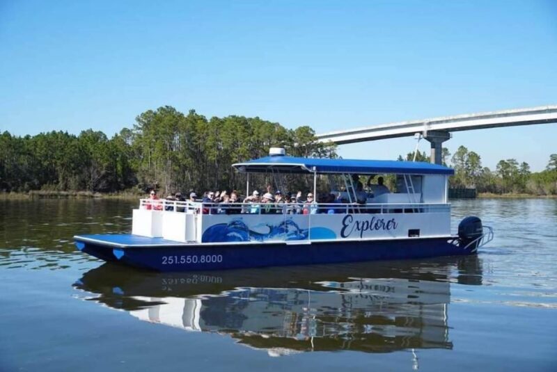 Orange Beach: Dolphin Eco Sunset Cruise aboard The Explorer - FAQ