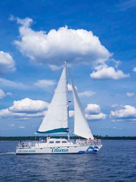 Orange Beach: Dolphin & Sailing Cruise Aboard 52' Catamaran - Authentic Experiences and Honest Feedback