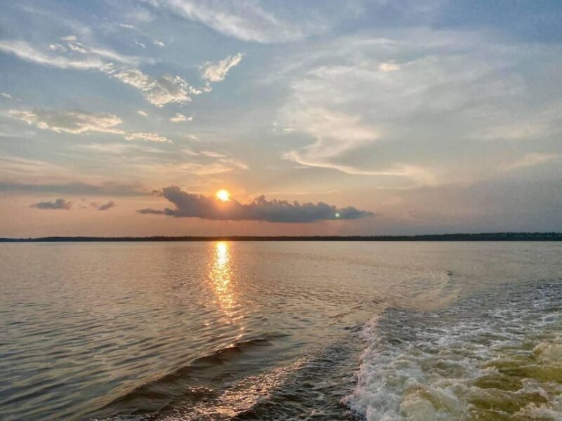 Orange Beach: Sunset Sailing Cruise Aboard The Cetacean - A Closer Look at the Sunset Sailing Experience