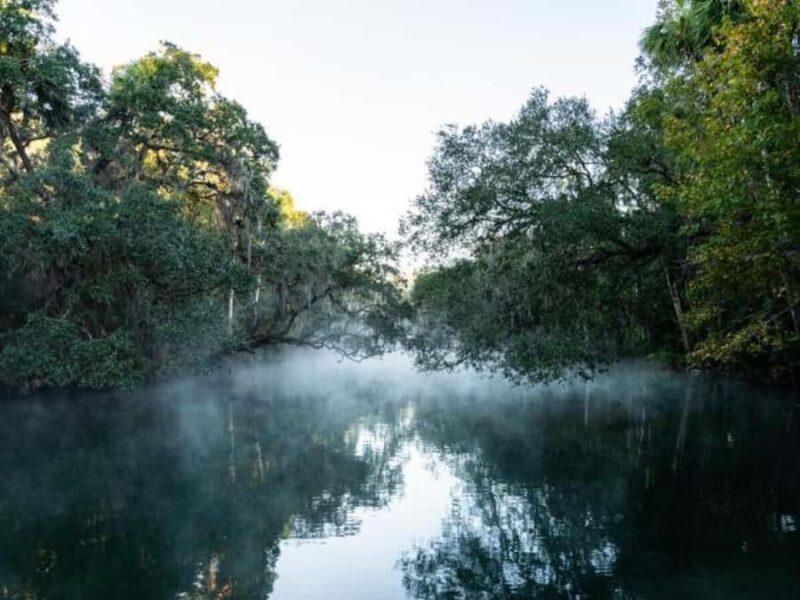 Orange City: Blue Spring State Park St. Johns River Cruise - Key Points