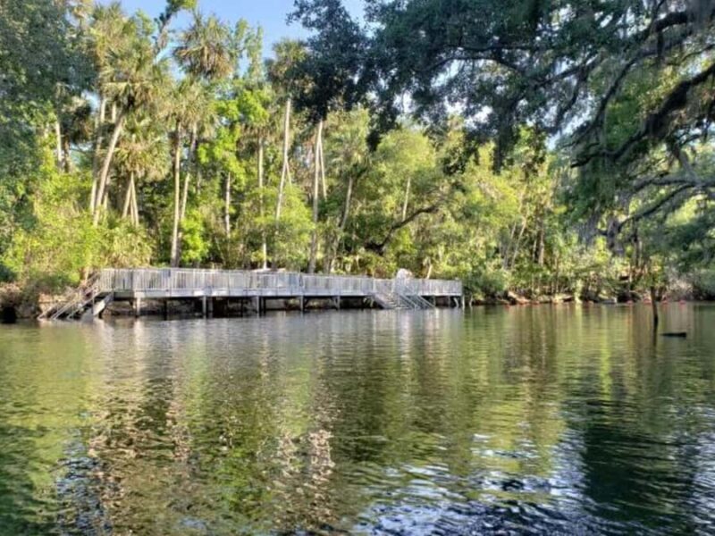 Orange City: Blue Spring State Park St. Johns River Cruise - Practical Details and Tips