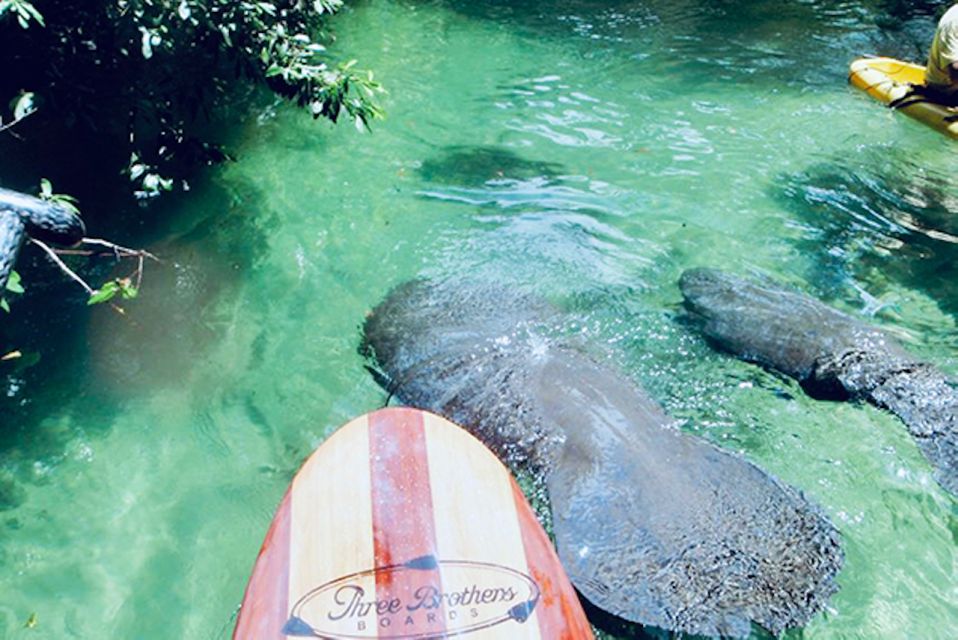 Orange City: Blue Spring State Park SUP & Kayaking Tour - Paddling Through Emerald Waters