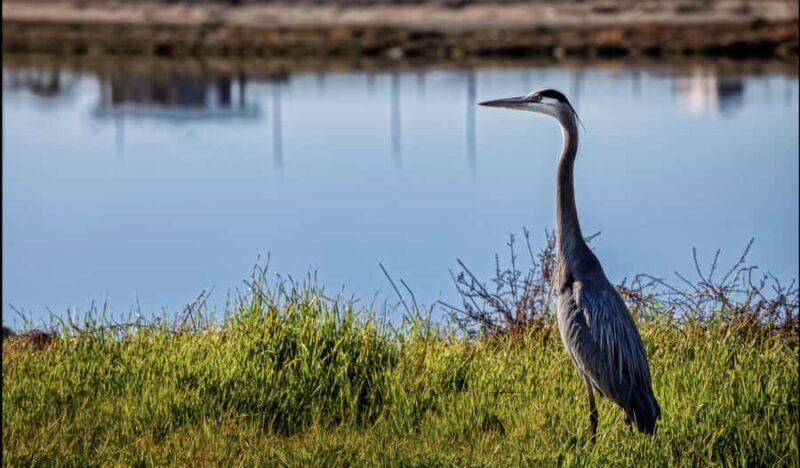Orange County: Hike and Bike Day Tour - A Day of Coastal Discovery and Active Adventure