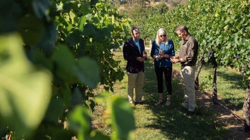 Orange: Indulge with Swinging Bridge - 5-Course Lunch & Tour - Why the Experience Offers Great Value