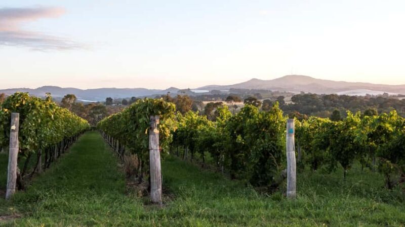 Orange: Indulge with Swinging Bridge - 5-Course Lunch & Tour - Who Should Consider This Tour?