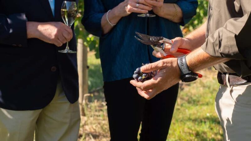 Orange: Indulge with Swinging Bridge - 5-Course Lunch & Tour - Final Thoughts