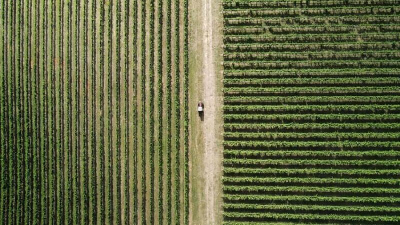 Orange: Indulge with Swinging Bridge - 5-Course Lunch & Tour - FAQ